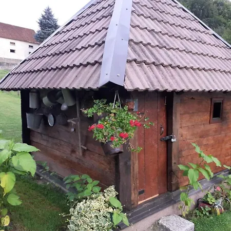 Holiday home Pantica Avlija - Ethno Household Pozega