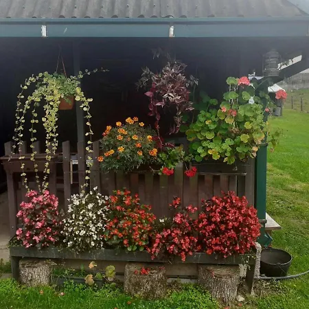 Pantica Avlija - Ethno Household Holiday home *