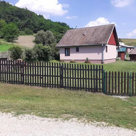 Holiday home Pantica Avlija - Ethno Household Pozega
