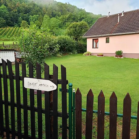 Holiday home Pantica Avlija - Ethno Household *